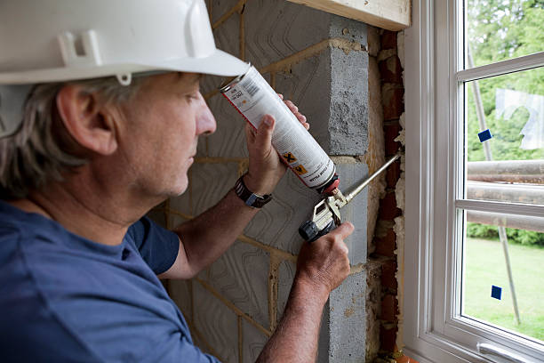 Best Cellulose Insulation  in Orland, CA